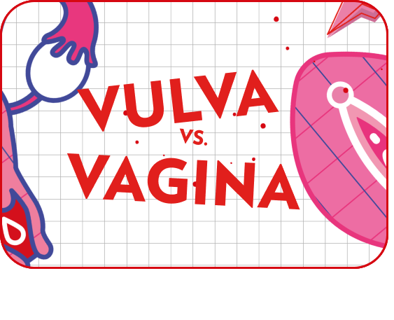 Datos esenciales sobre la vagina
